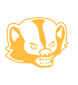 Асфальтоукладчик навесной