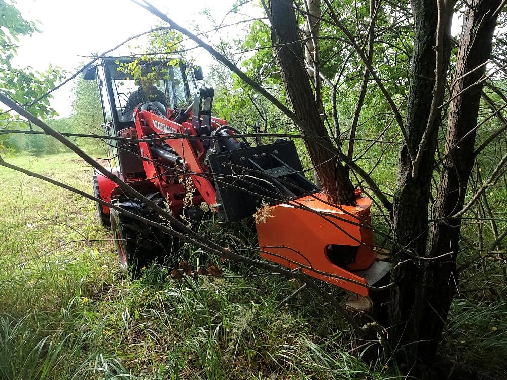 Обрезчик деревьев (срезатель)
